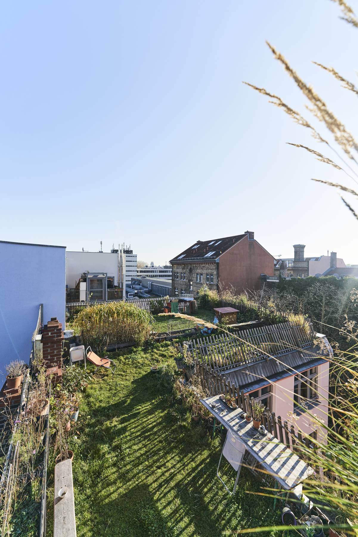 Forum Kreuzberg / Blick über begrünte Dächer
