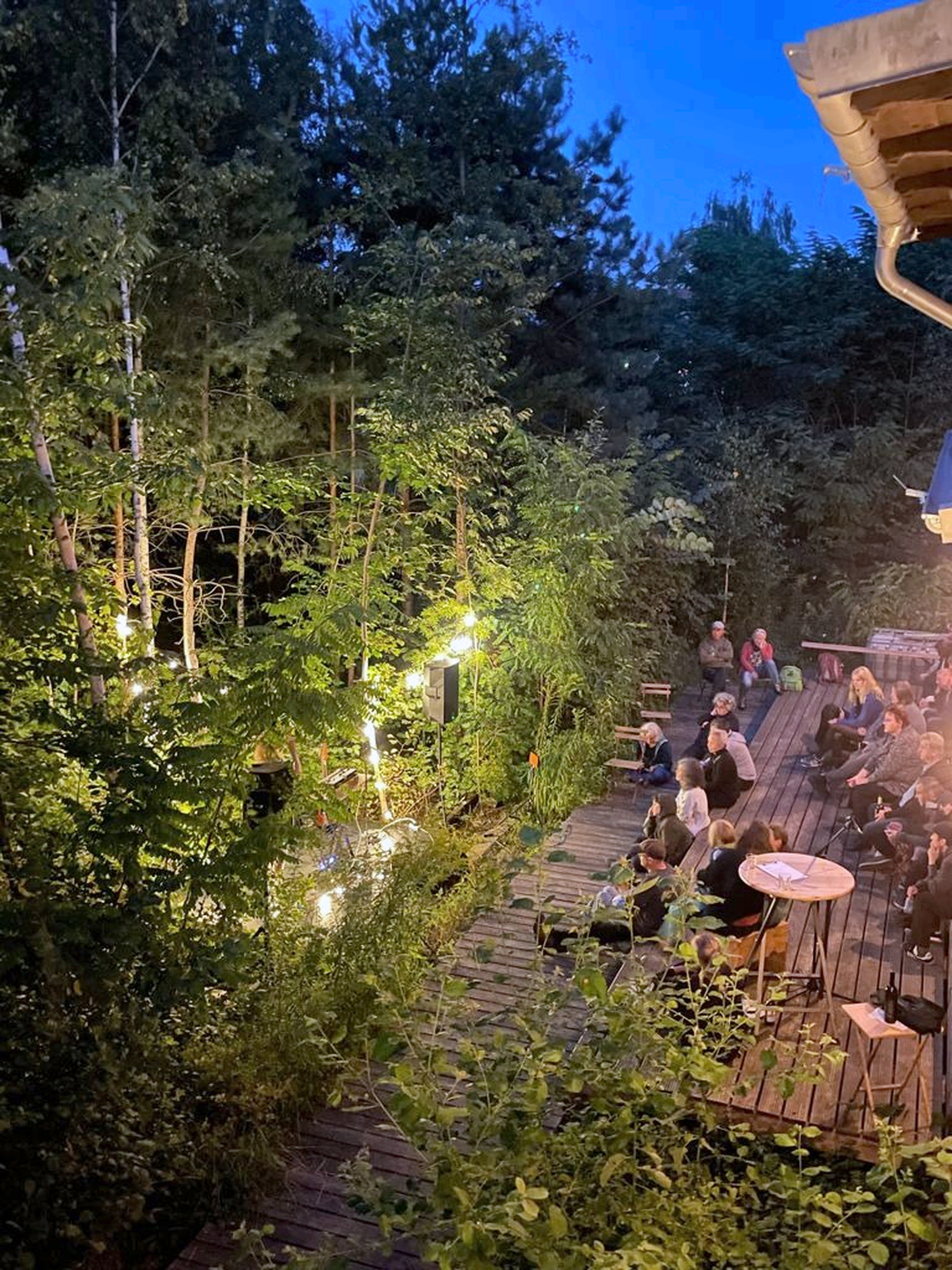 Abend im Garten